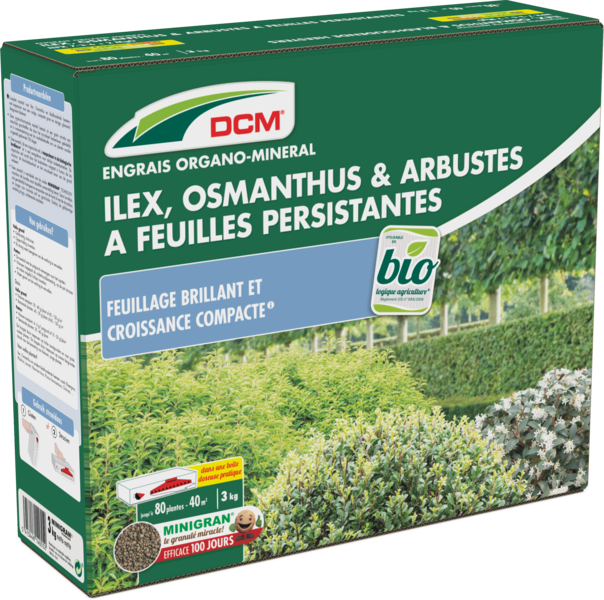 Engrais Ilex, Osmanthus & Arbustes à feuilles persistantes DCM thumbnail