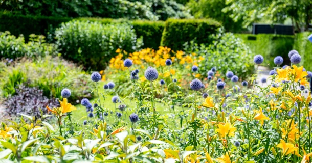 Comment réussir la plantation d'une bordure de fleurs ? Thumb
