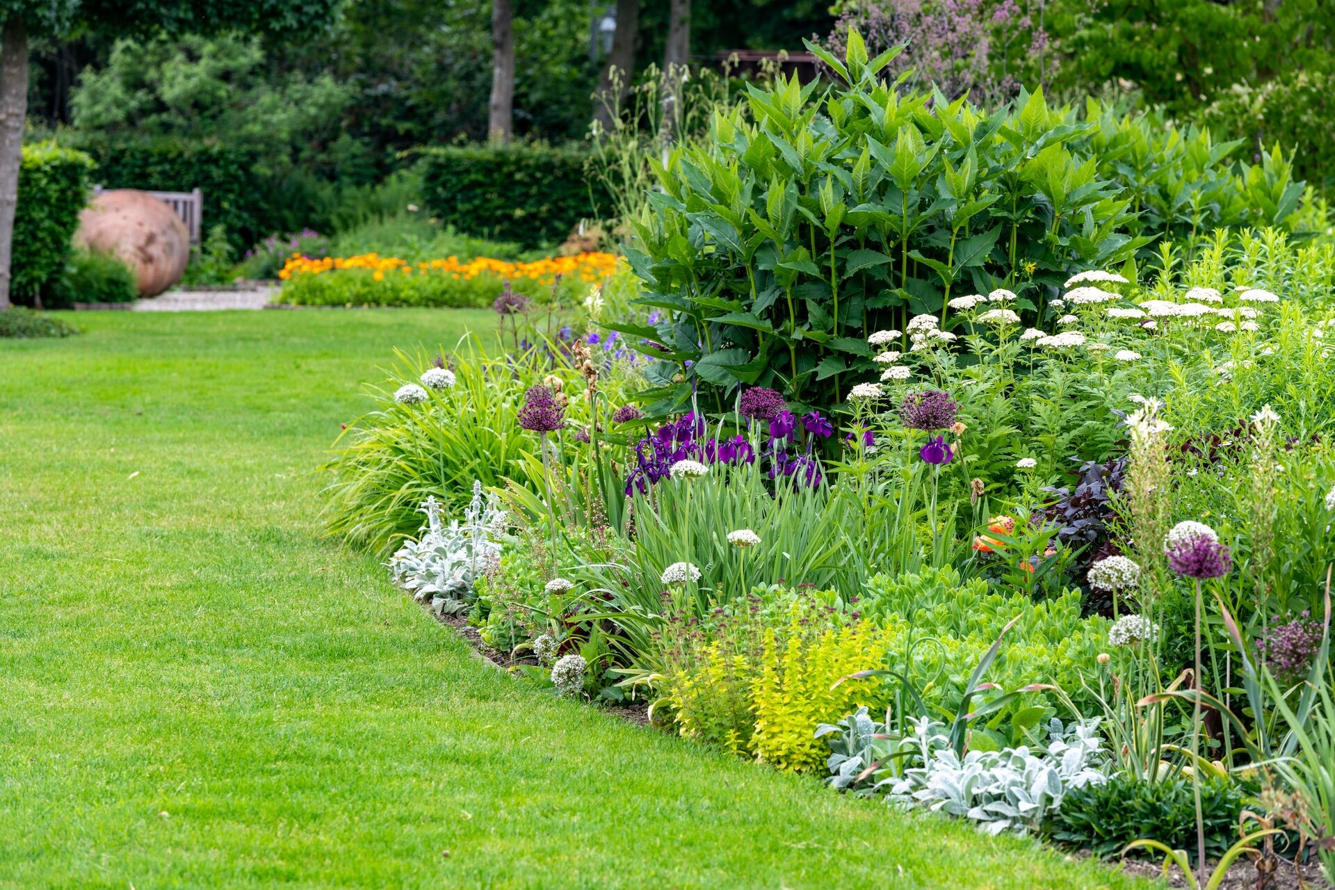 Un massif de plantes vivaces qui attire les regards : planter et entretenir les plantes vivaces Thumb