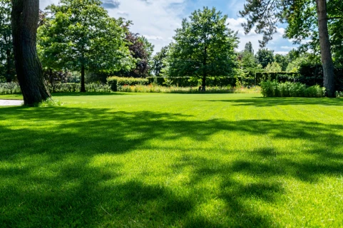 Comment protéger votre jardin de la chaleur ? Thumb
