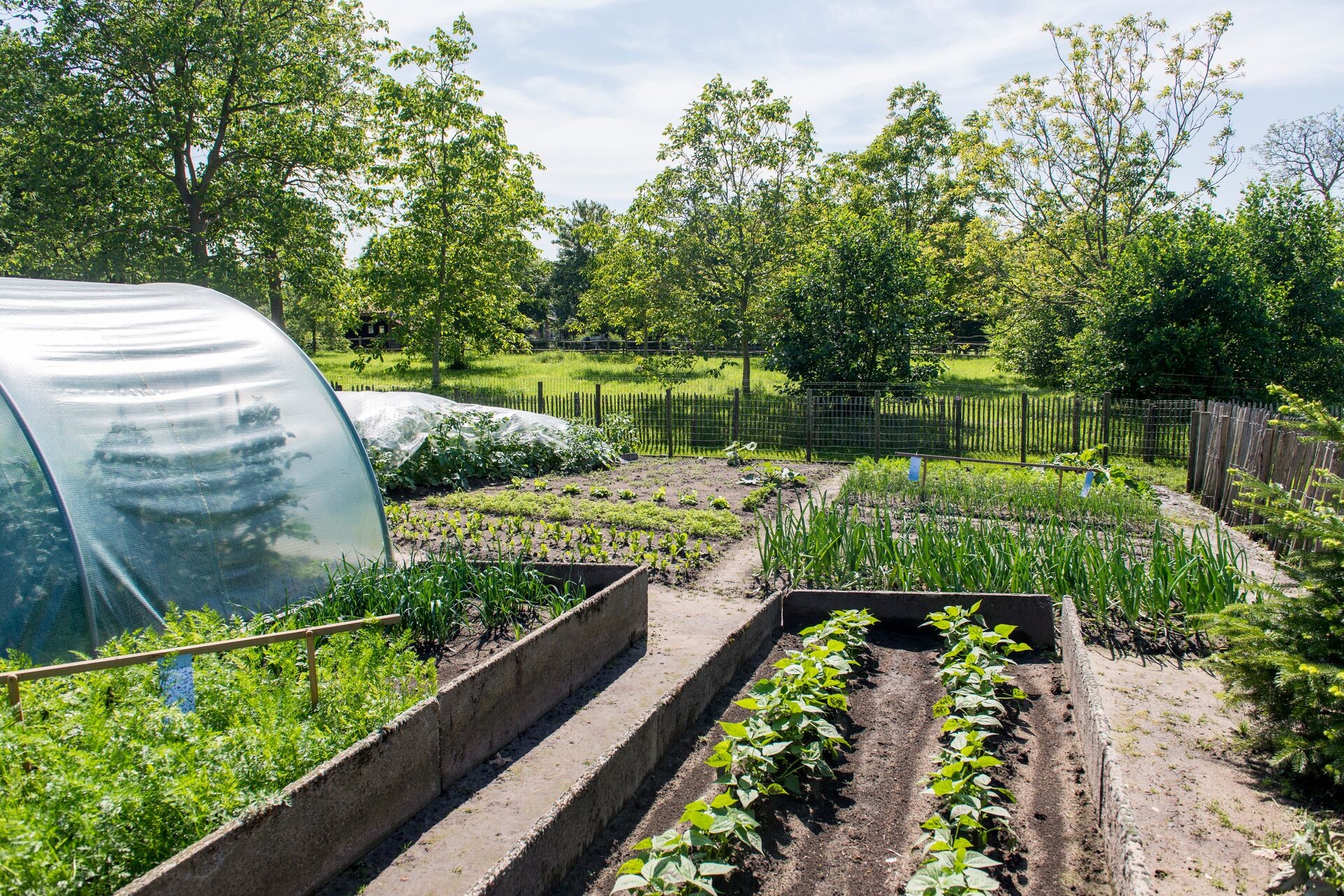 Pourquoi chauler son potager ? Thumb