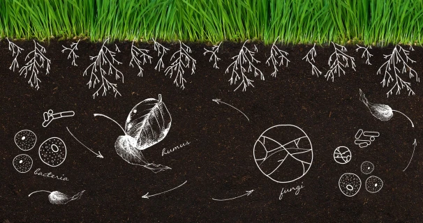 Un sol pauvre ? Stimulez la vie du sol et donnez un nouveau souffle à votre jardin Thumb