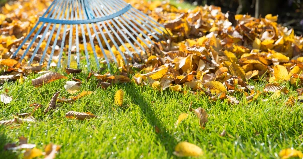 7 conseils pour traiter efficacement vos déchets verts Thumb