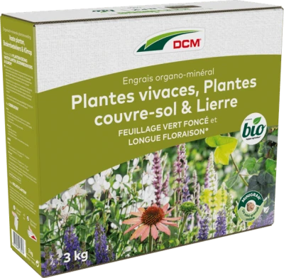 engrais-plantes-vivaces-lierre-plantes-couvre-sol-dcm thumbnail