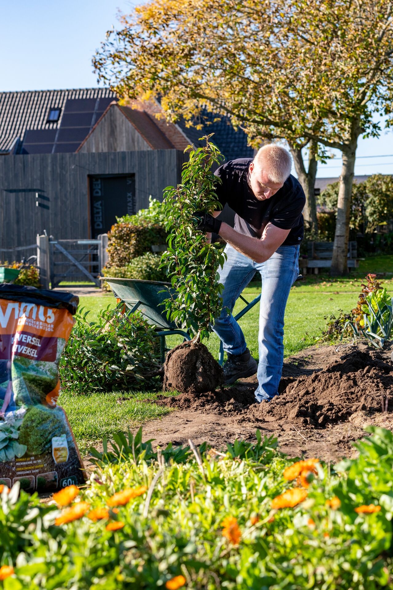 Aménagement du jardin Thumb