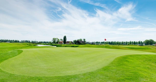 DCM TURF-MIX: formule renforcée en azote à action longue durée supplémentaire pour gazons Thumb