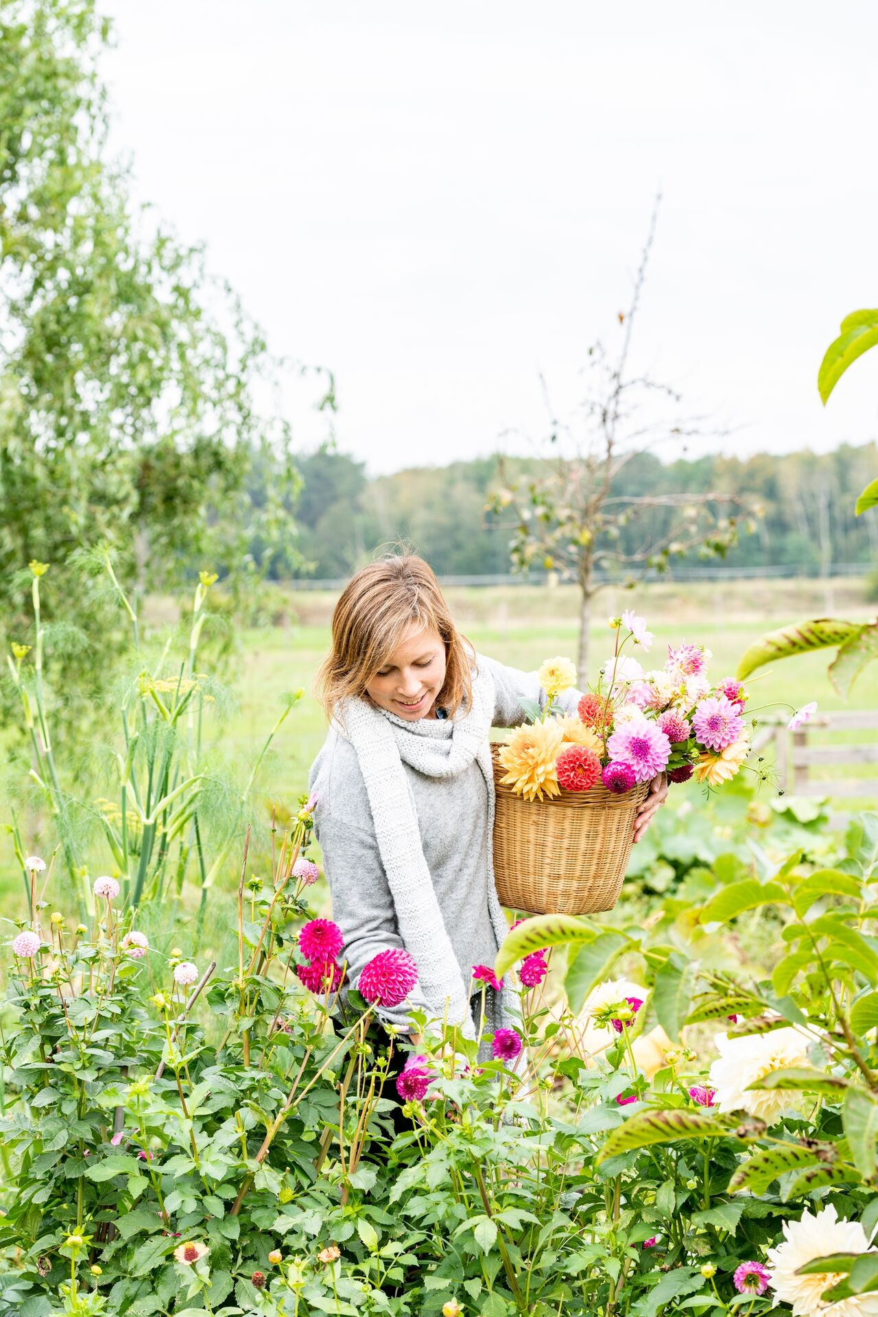 Vive les dahlias ! Thumb