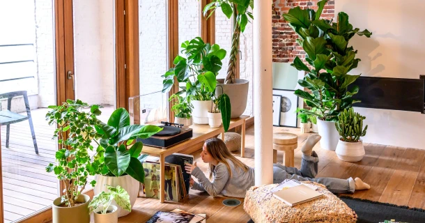Plus de verdure dans votre intérieur : trois astuces déco pour les plantes d'intérieur Thumb