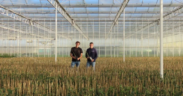 Streng Growers convaincu par la fertilisation hybride en culture en conteneurs Thumb