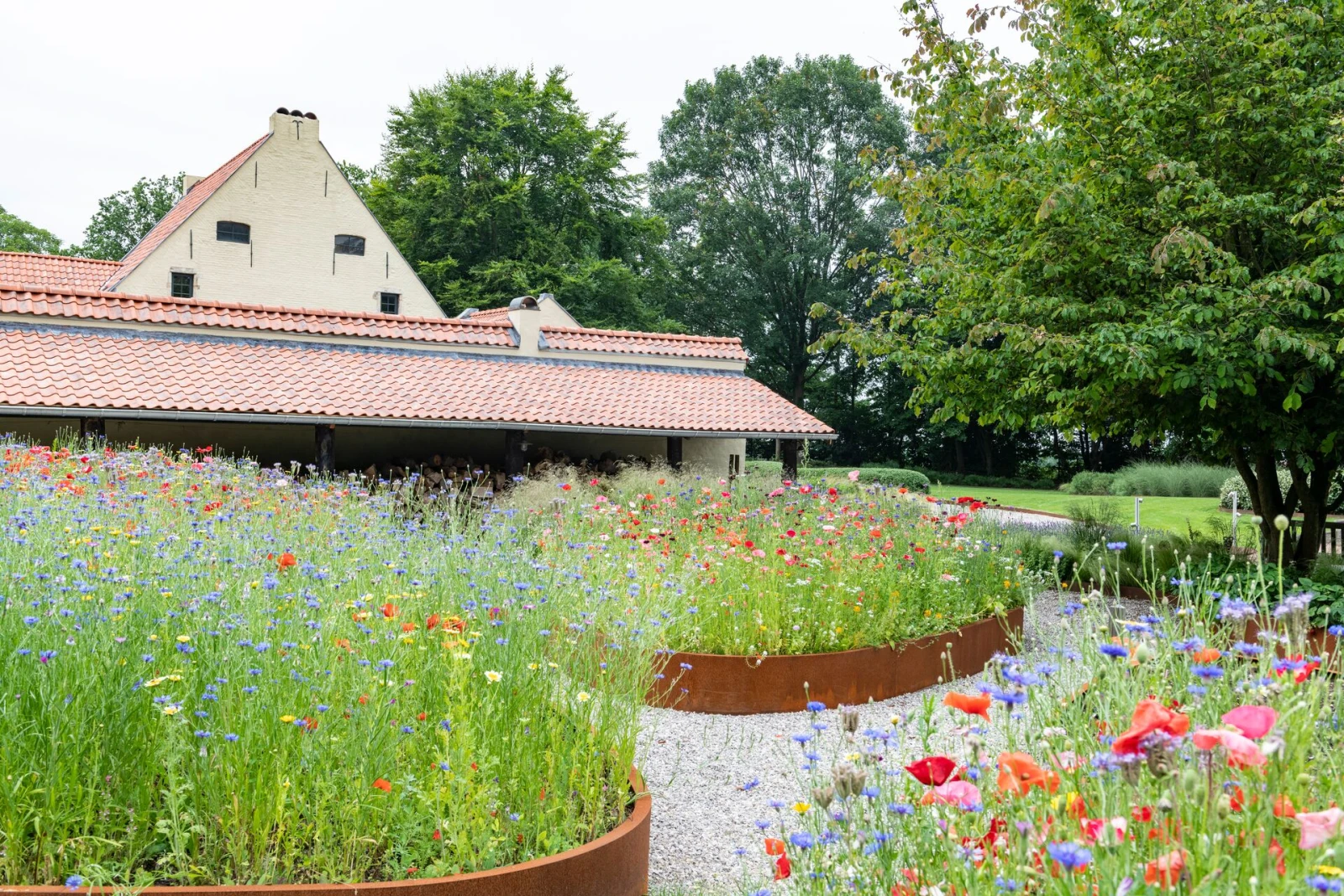 sfeer bloemenweide