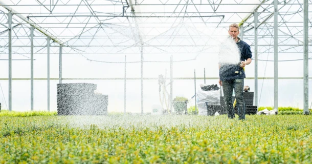 Fertilisation foliaire en pépinière : 7 facteurs de réussite pour maximiser le rendement et la qualité des plantes Thumb