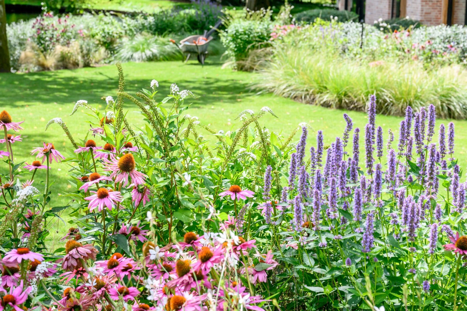 moins de gazon, plus de plantes