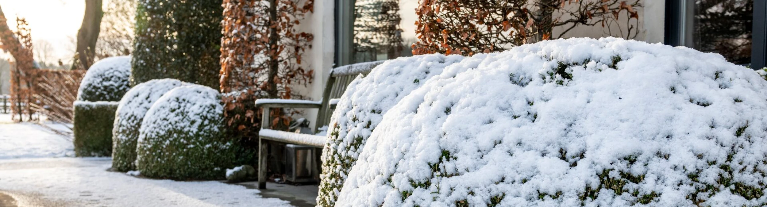 Header image alt