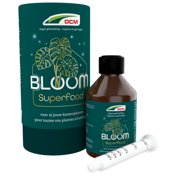 DCM BLOOM Kamerplanten thumbnail