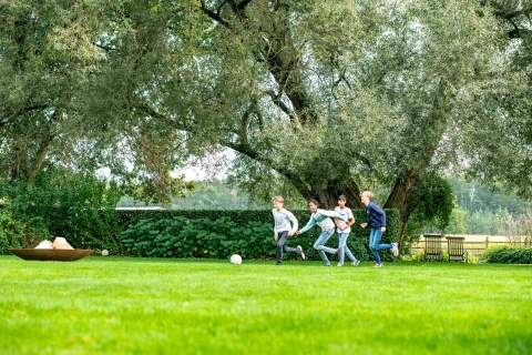 Jaarbemestingsplan voor een dichte groene grasmat Thumb
