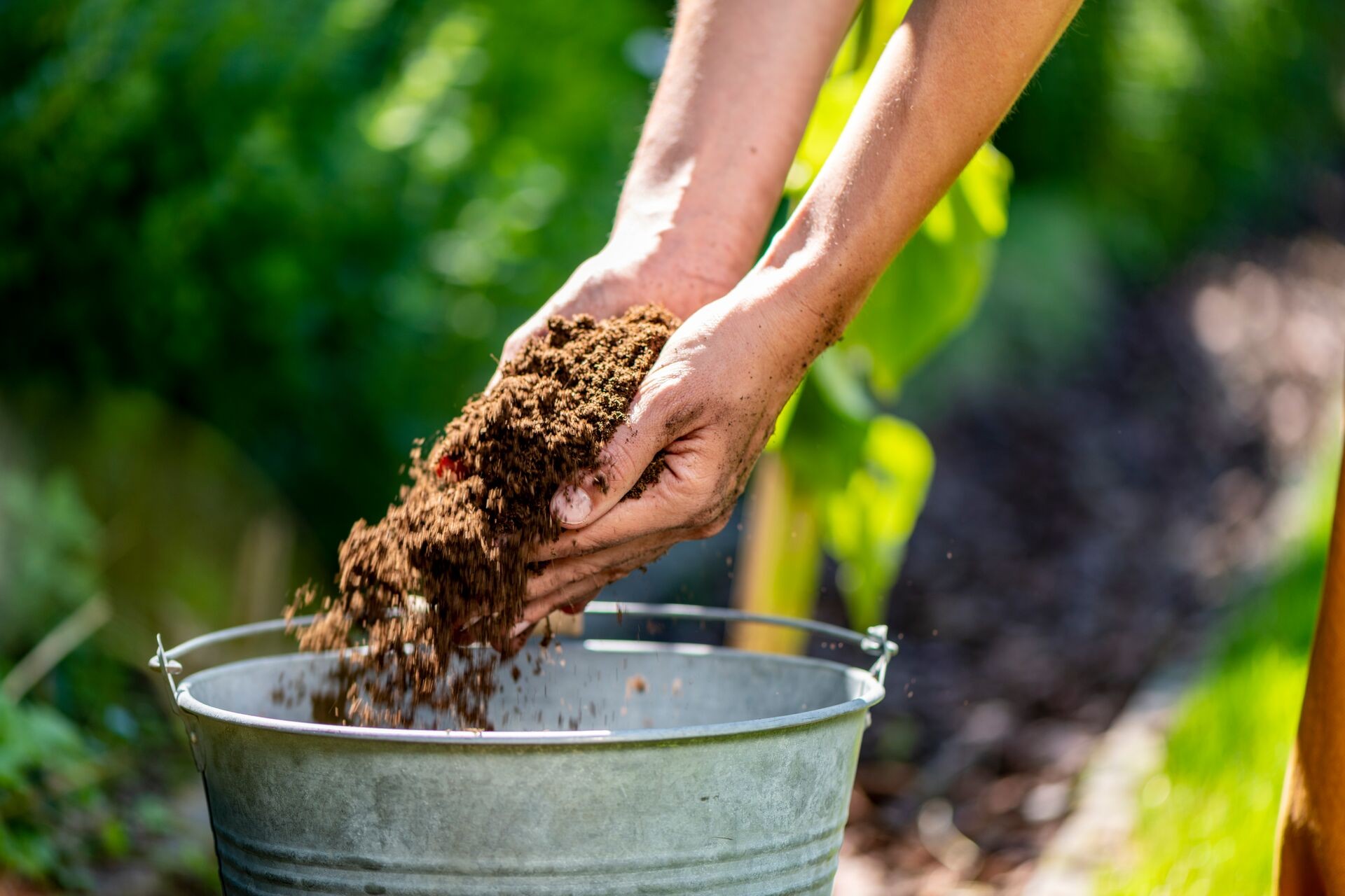 Soorten potgrond: iedere plant zijn eigen behoeften Thumb