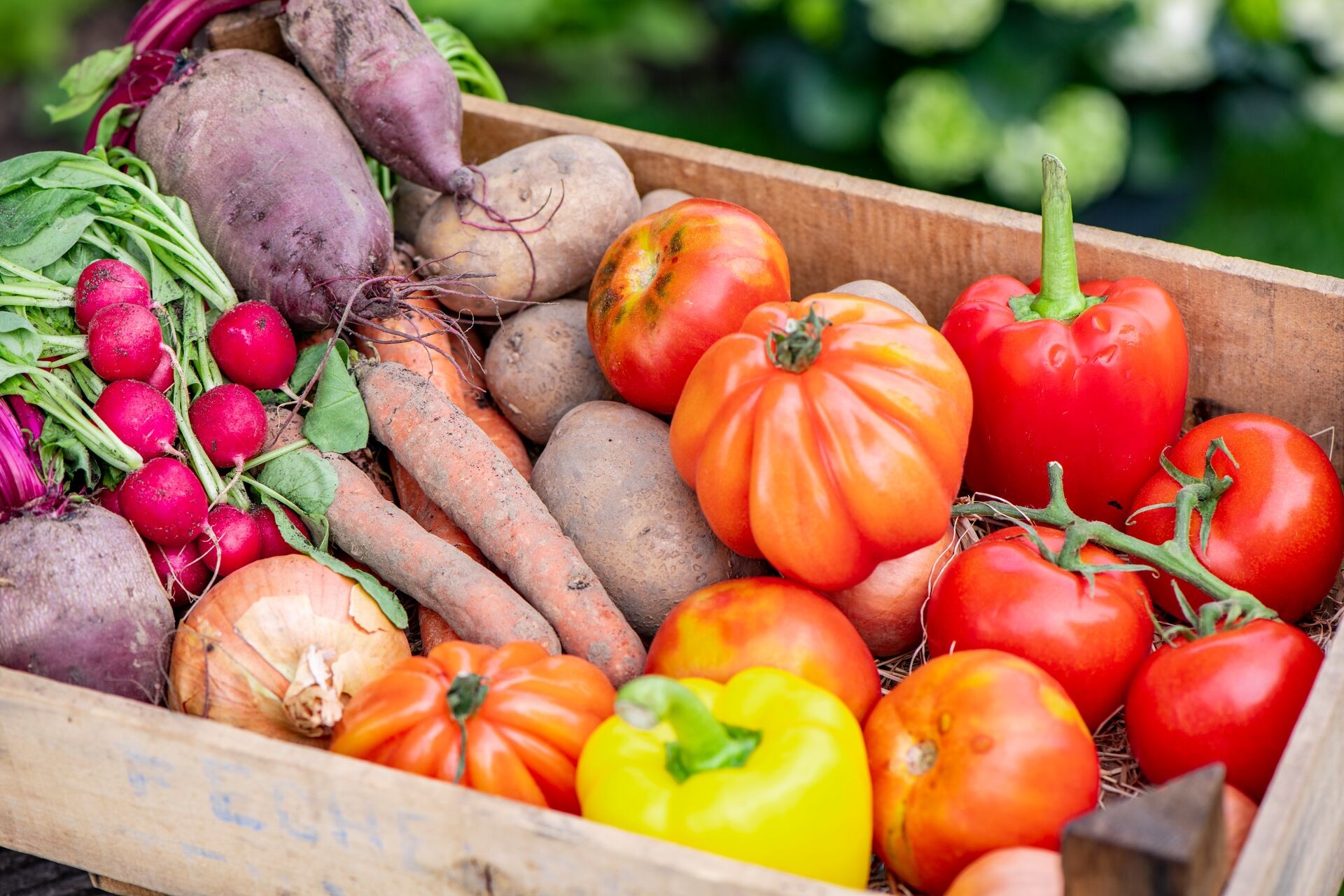 Biologische groenten uit eigen moestuin Thumb