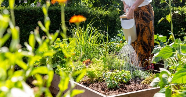 7 tips om slim en zuinig water te geven in de tuin Thumb
