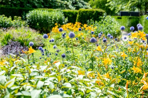 Zo leg je met succes een bloemenborder aan Thumb