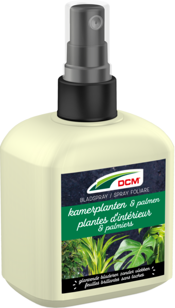 DCM Bladspray Kamerplanten & Palmen thumbnail