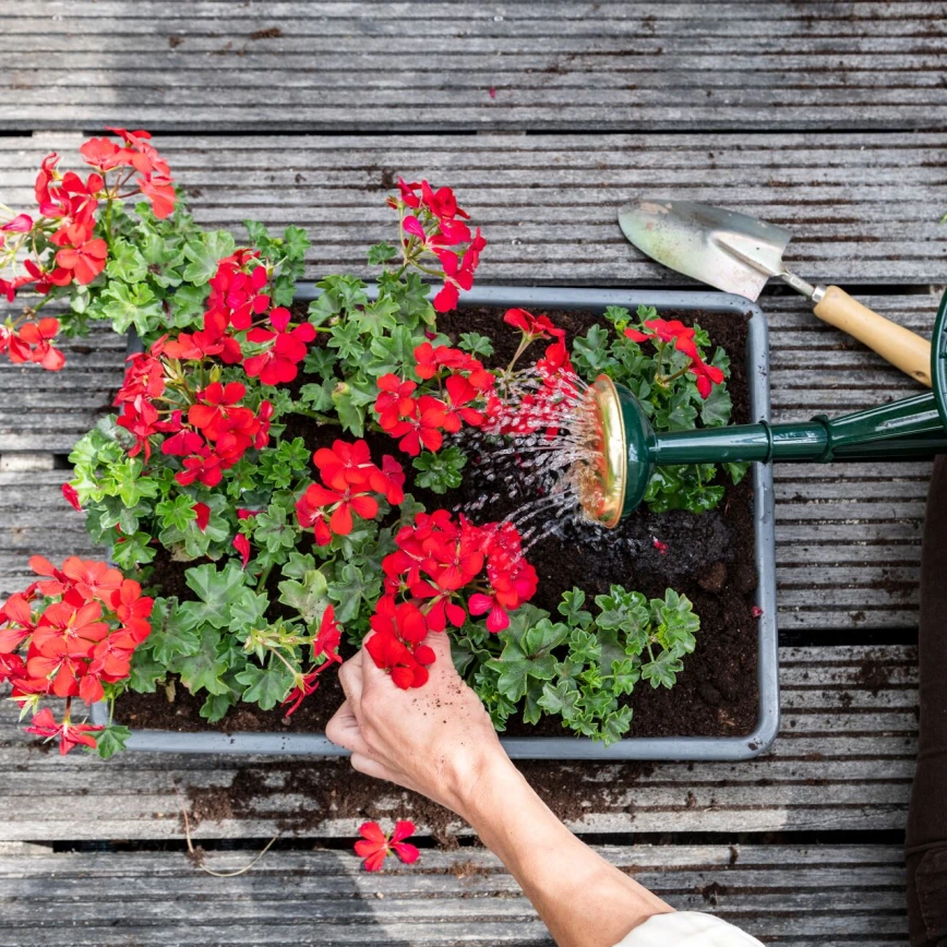 10 tips om je terrasplanten slim en zuinig water te geven Thumb