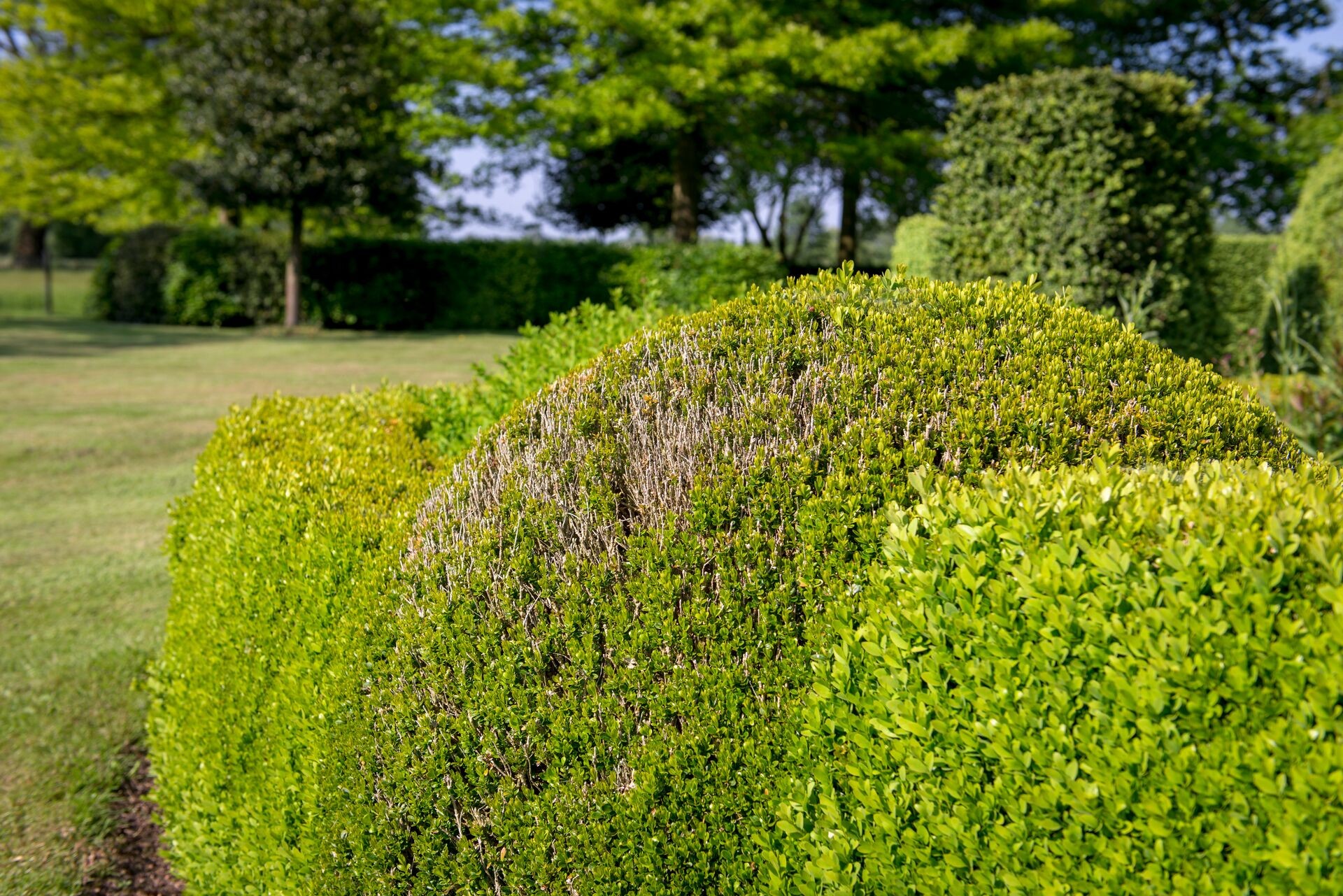 Header image alt