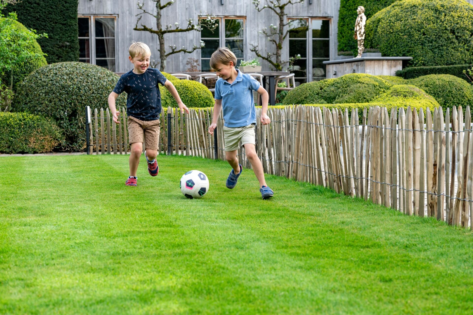 Graszaad in verschillende soorten, afgestemd op de functie van jouw gazon Thumb