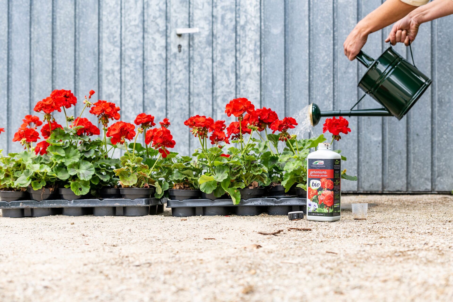 Planten bijmesten met vloeibare meststof Thumb
