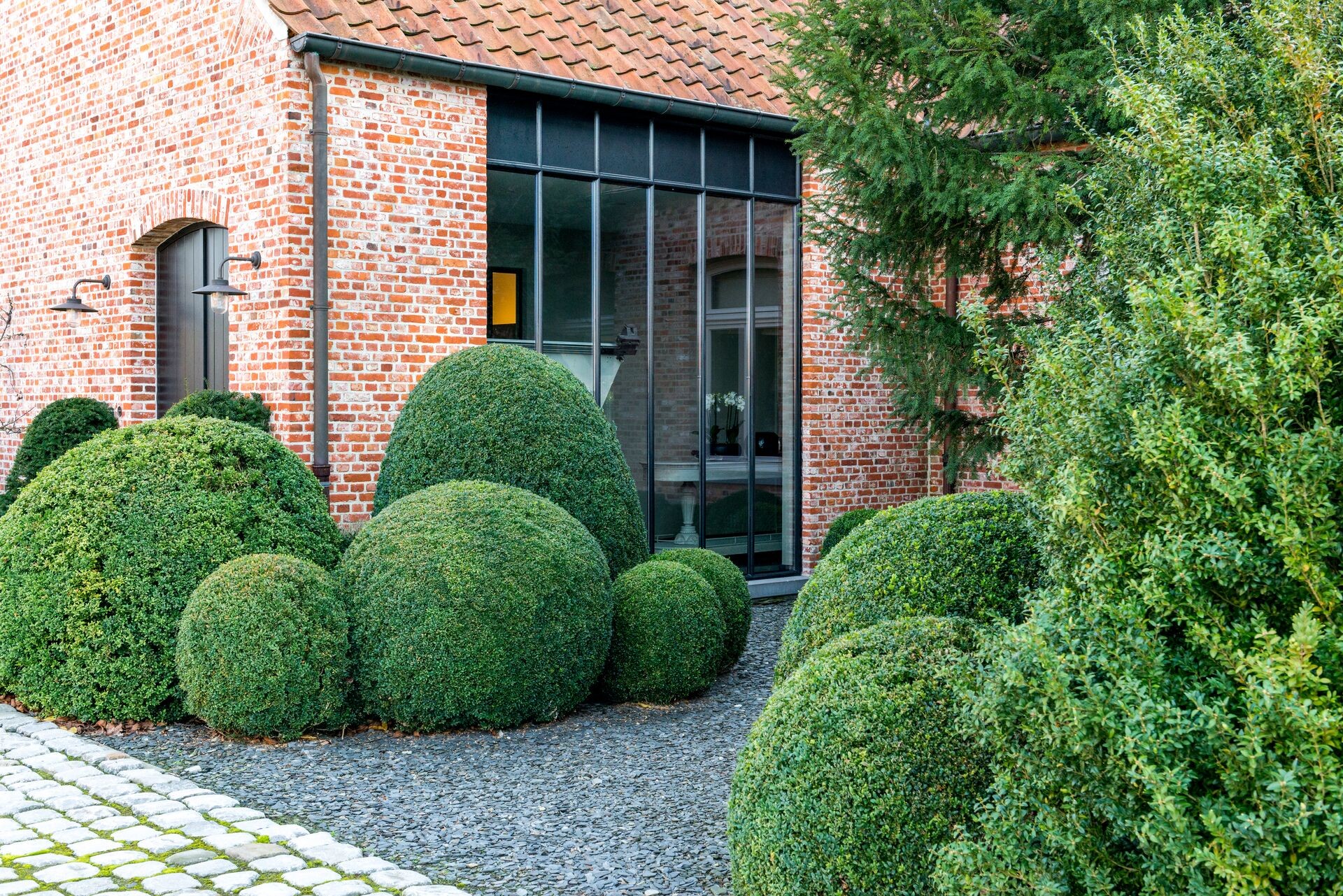 Buxus bemesten en onderhouden met kalk Thumb