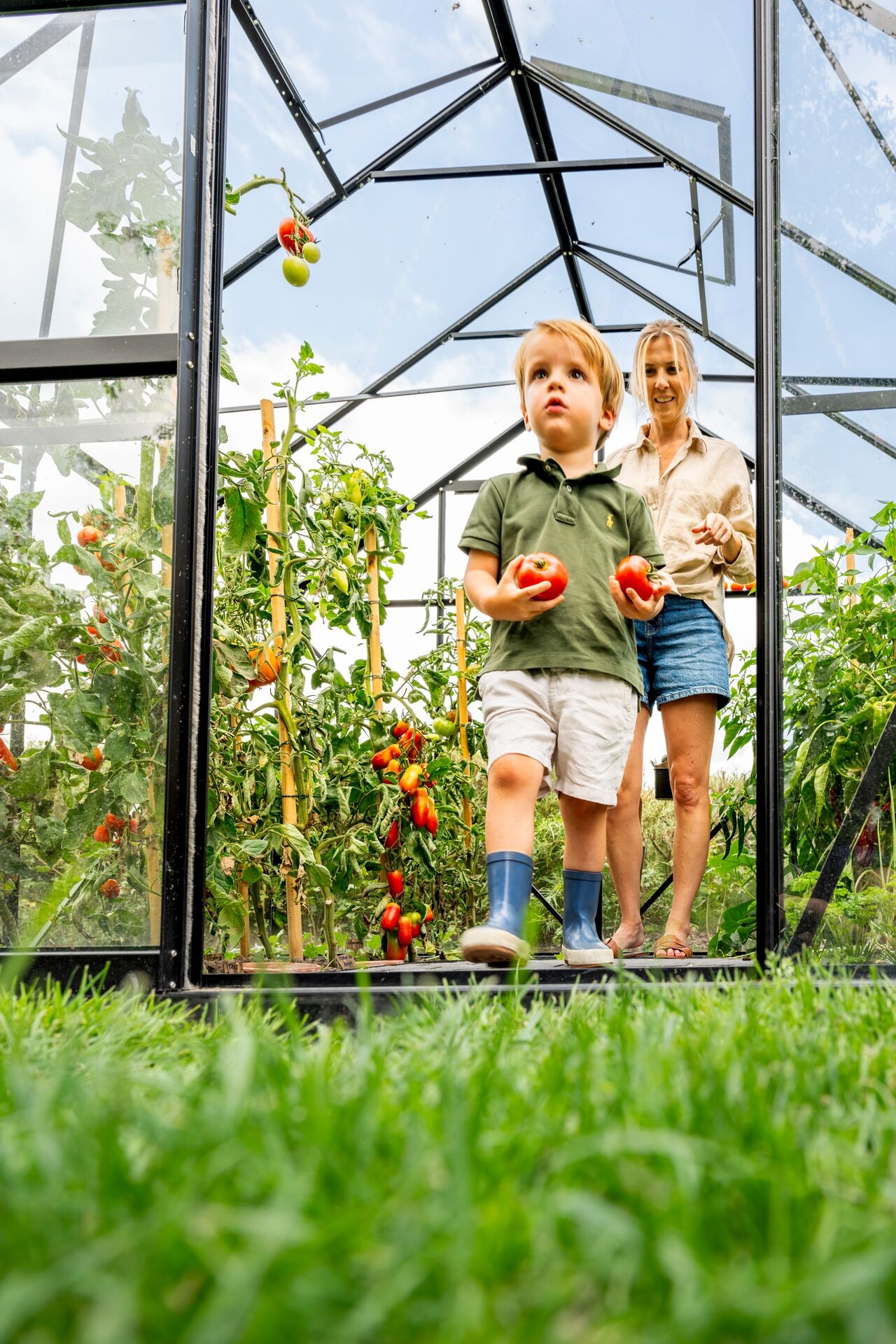 Tomatenplaag? Niet in jouw tuin! Thumb