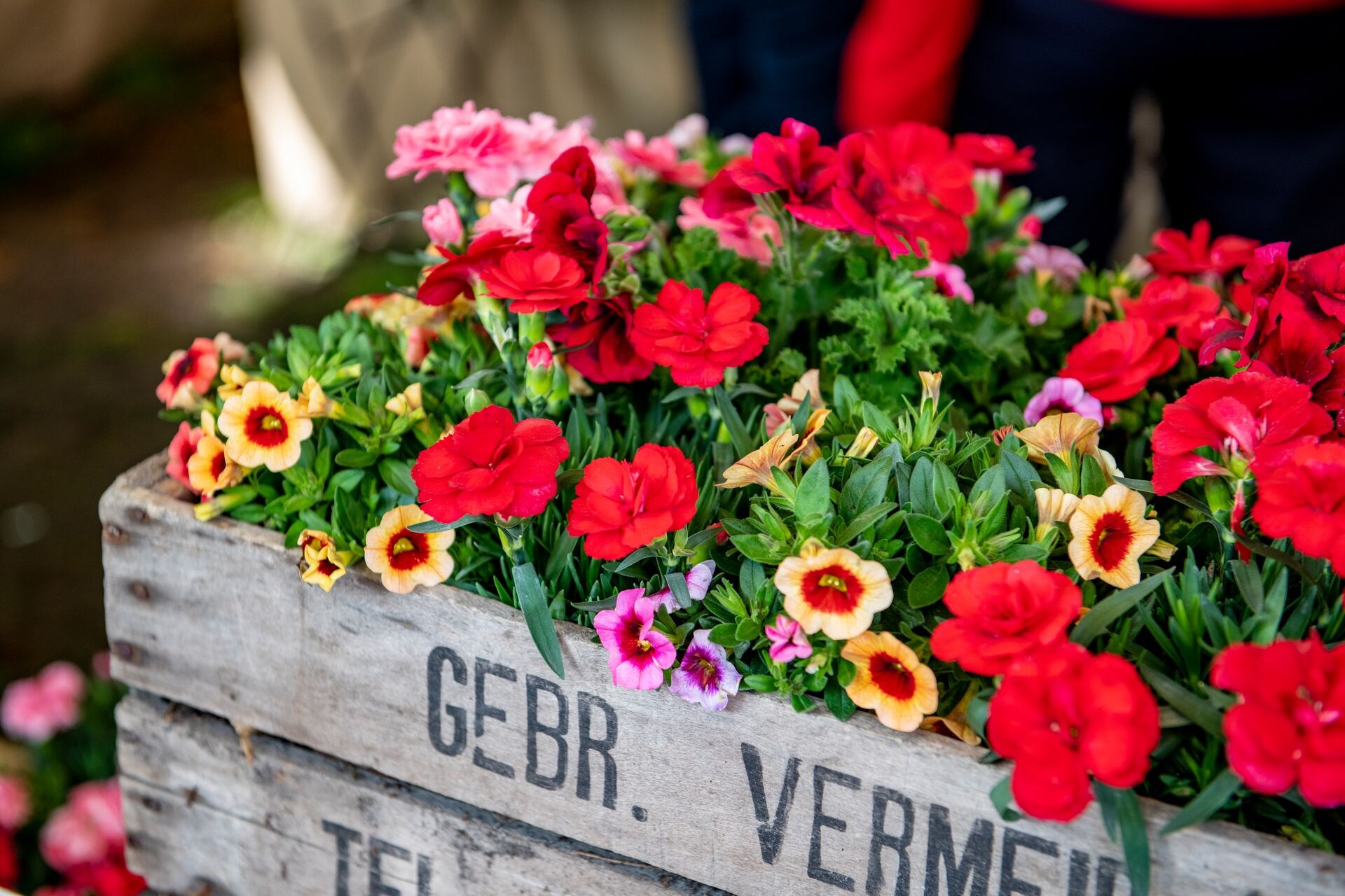 Turfvrije potgrond voor de duurzame tuin Thumb