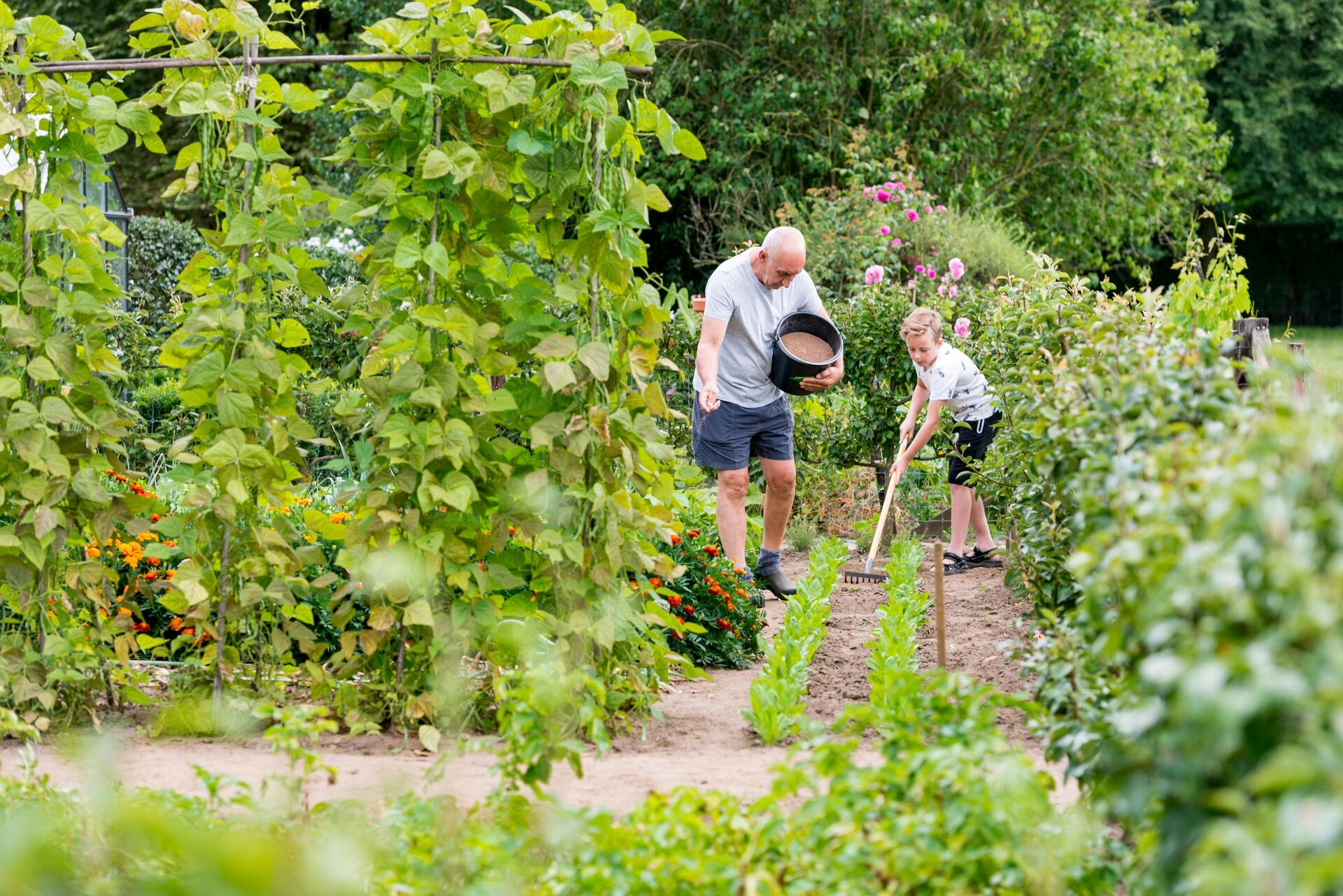 De moestuin bemesten: zo voed je een rijke oogst Thumb