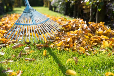 7 tips om tuinresten nuttig te verwerken Thumb