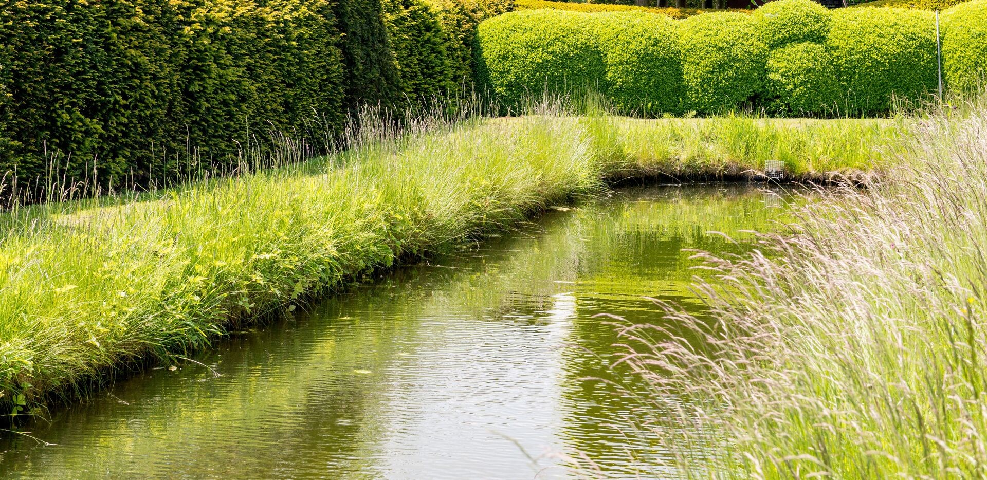 Maak van je tuin een sponstuin Thumb
