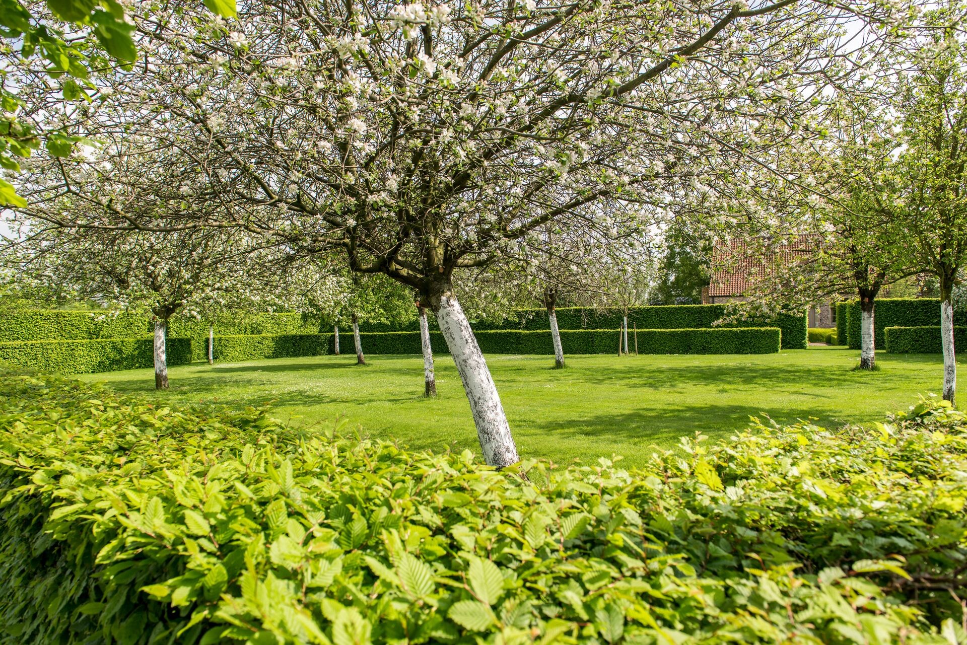 Header image alt