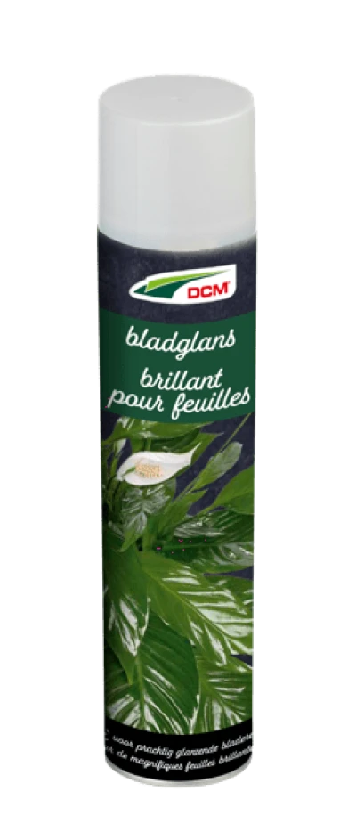 DCM Bladglans thumbnail