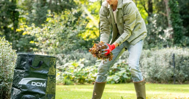 7 tips om herfstbladeren slim te recycleren Thumb