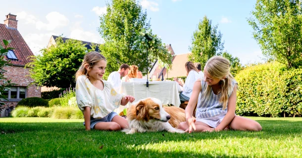 Zomervoeding voor je gazon: zo kan je je gras helpen groener te blijven tijdens warme periodes Thumb