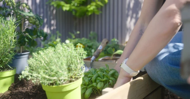Zo begin je aan je eerste moestuin Thumb