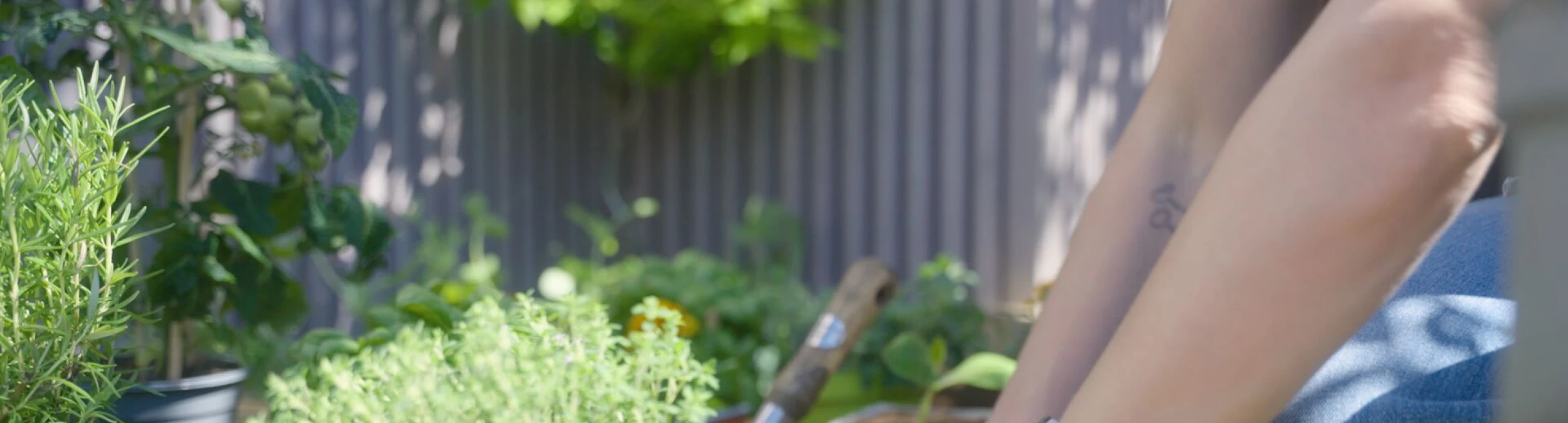 Header image alt
