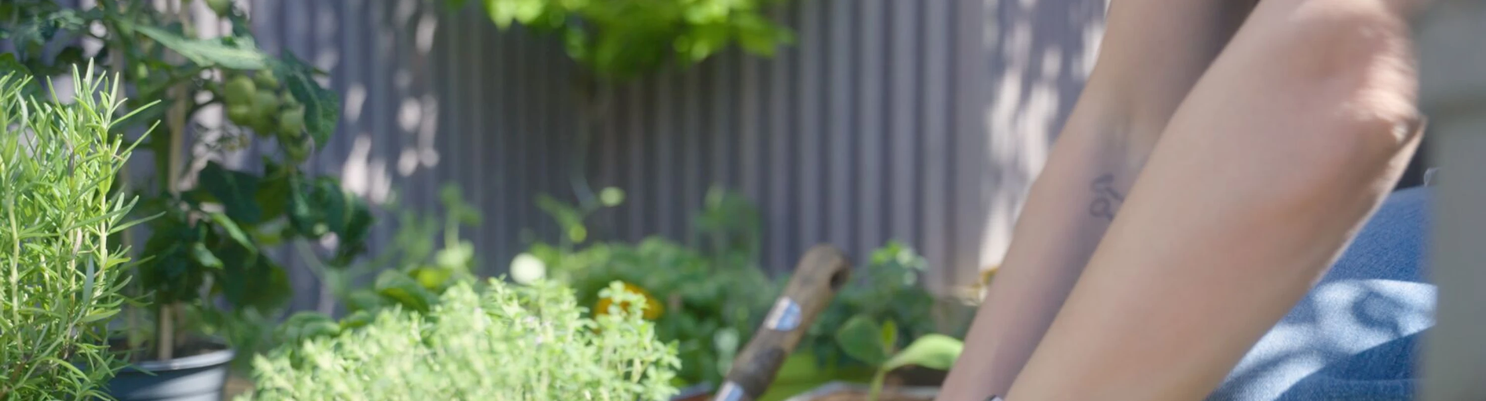 Header image alt