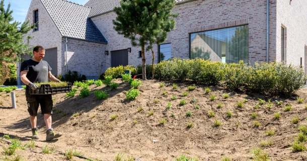 Droogtebestendige tuinen aanleggen: zo maak je tuinen weerbaar tegen hitte Thumb