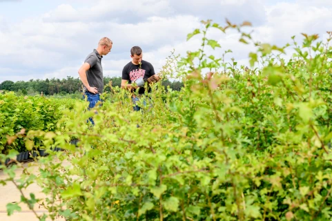 Waarom EC plots kan ontsporen én hoe je dat voorkomt Thumb