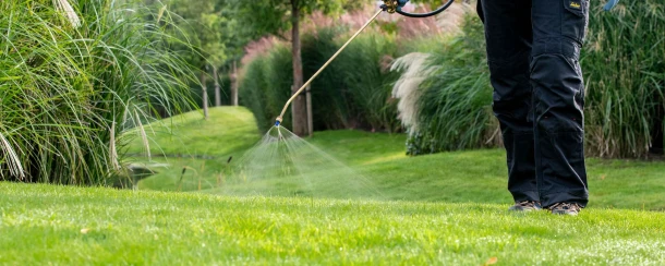DCM LIQUID GREEN: Vloeibare, snelwerkende gazonmeststof voor een diepgroen gazon Thumb