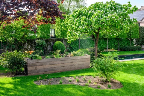 Een voedselbos(je) in jouw tuin? Zo begin je eraan Thumb